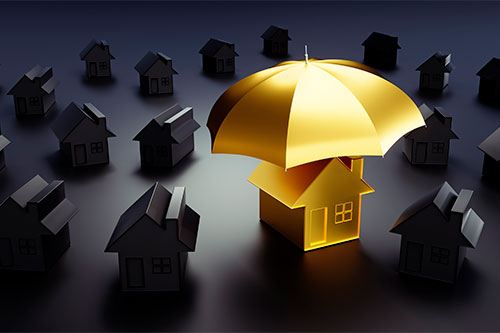 Can Professional Tax & Accounting Help with Asset Protection?