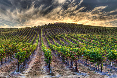 Summer travel is returning: Here’s who’s booking and where they’re going