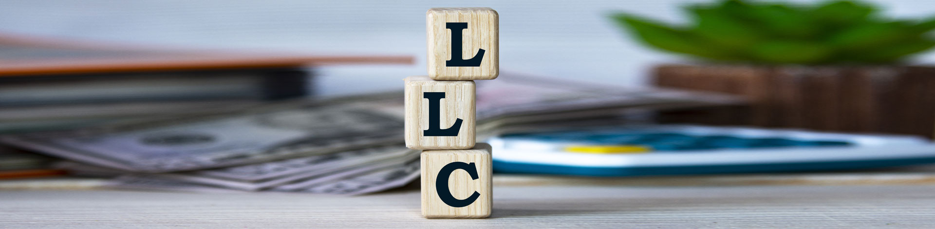 What States Protect Single Member LLCs?