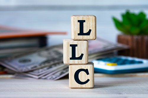 What States Protect Single Member LLCs?