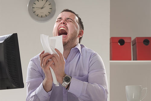 What the IRS Says About Audit Triggers